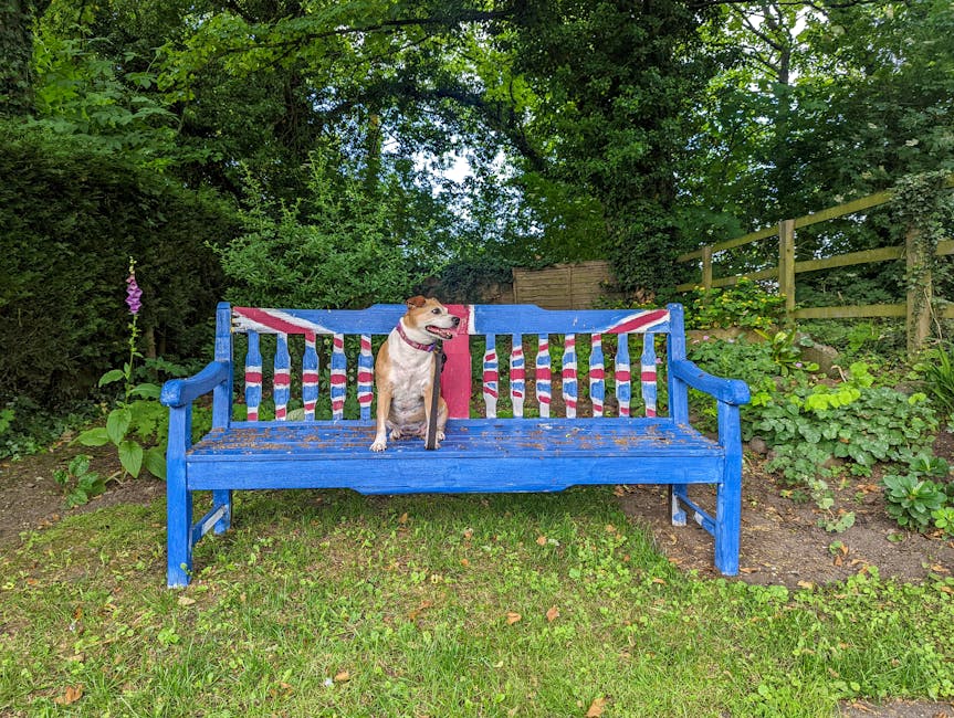 Dog-Friendly Attractions and Theme Parks in the UK (2026 Guide)