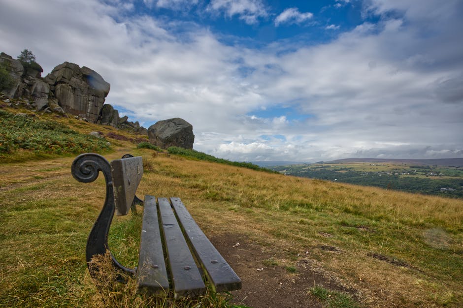 Dog-Friendly Yorkshire: The Complete Guide for 2026