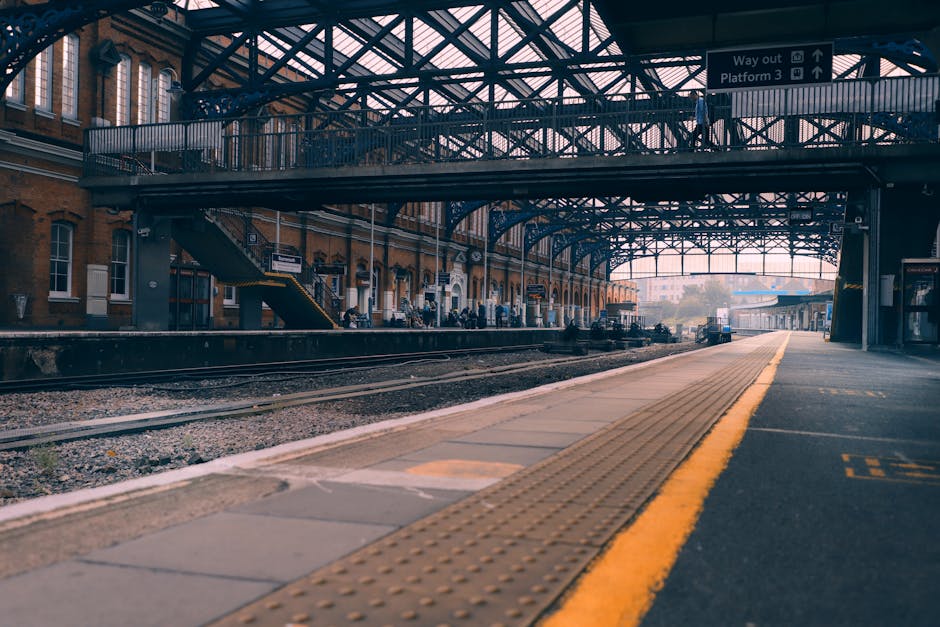 How to Travel With Your Dog by Train in the UK