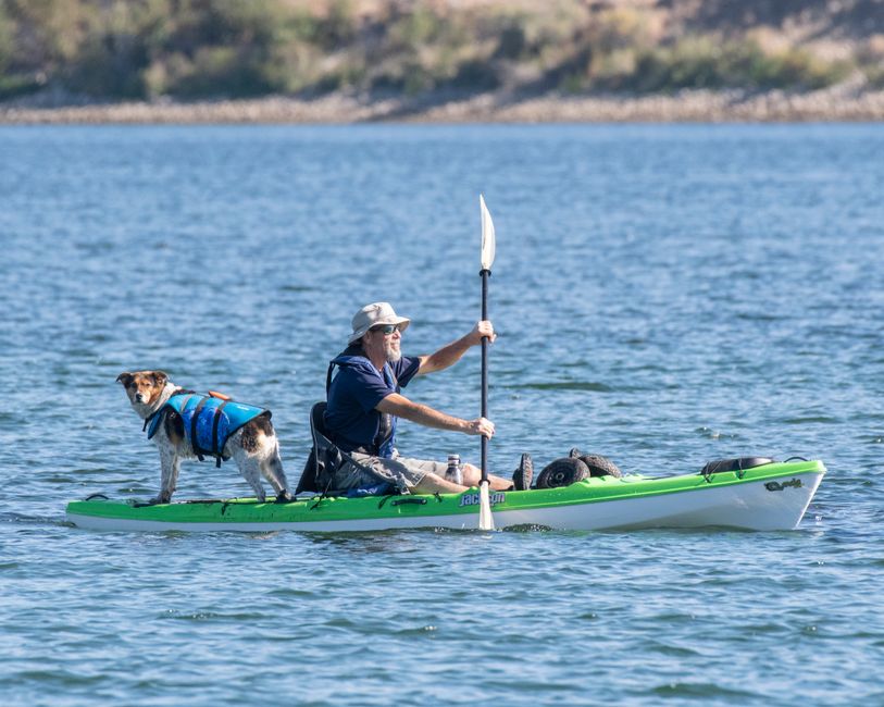 A dog in a blue life jacket riding on the front of a kayak