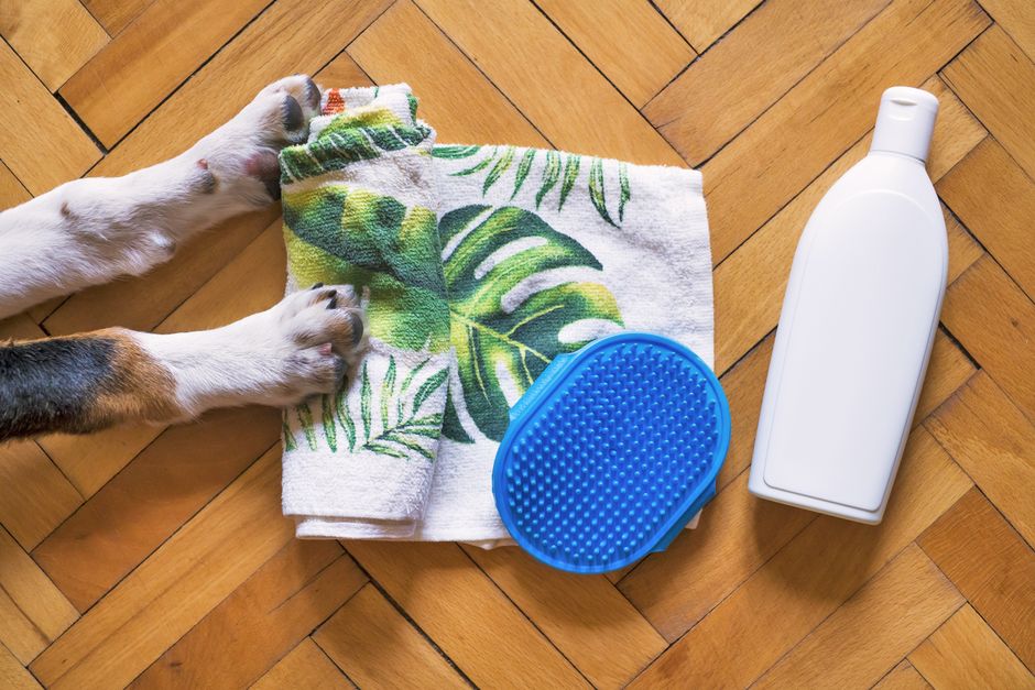 A dog's paws beside a leaf-print towel, a rubber grooming brush and a shampoo bottle