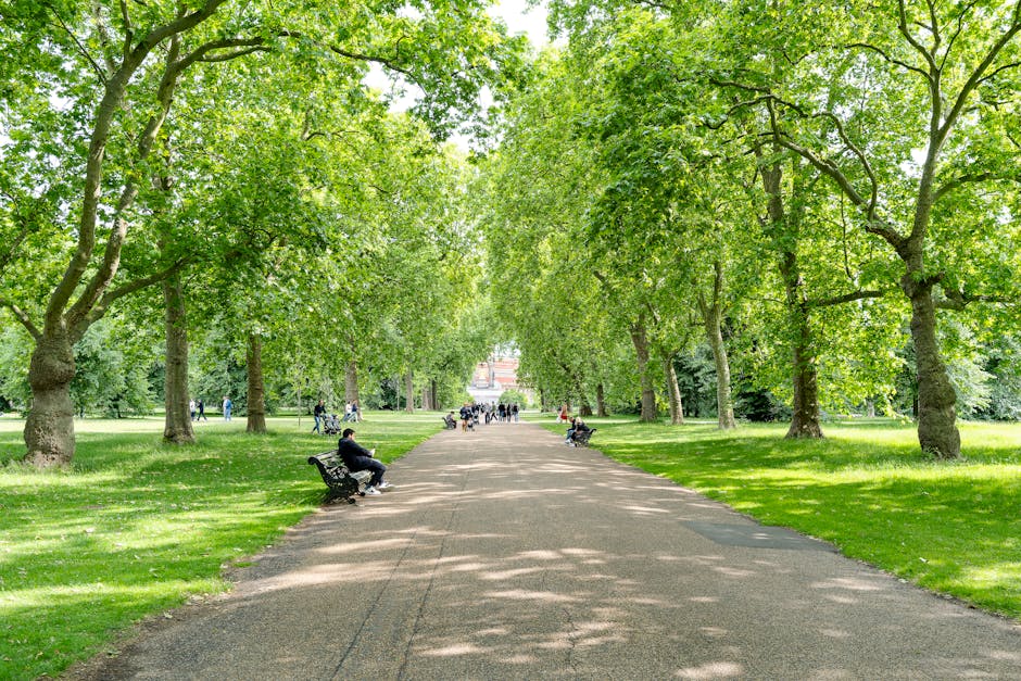 A green park in central London