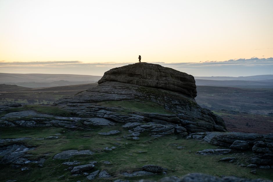 Dog-Friendly Dartmoor: The Complete National Park Guide 2026