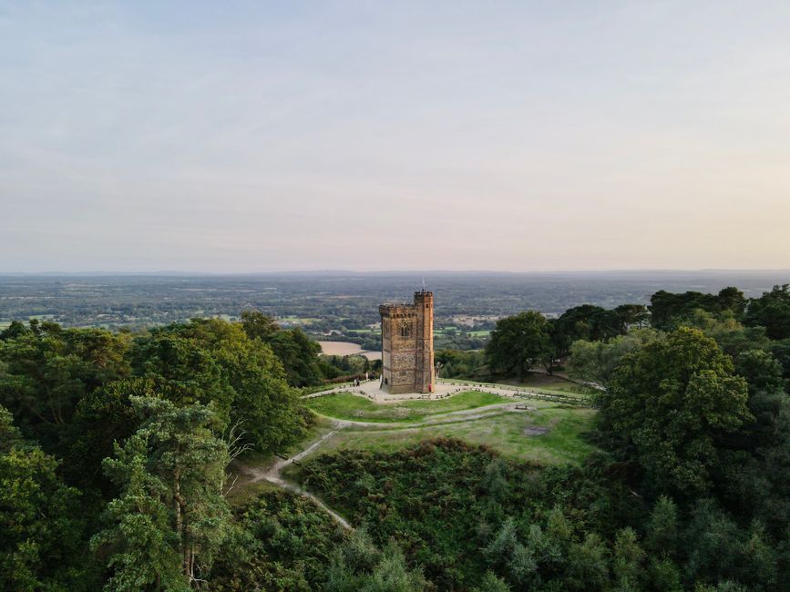 Dog-Friendly Surrey Hills