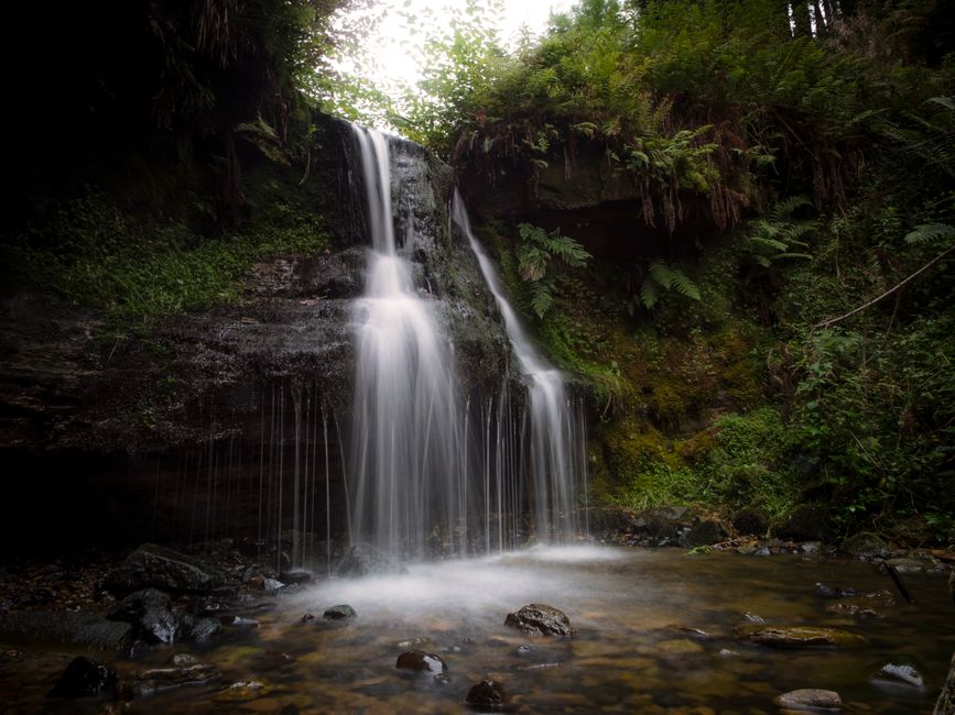 A woodland waterfall in the UK, a dog-friendly short walk to a cascade