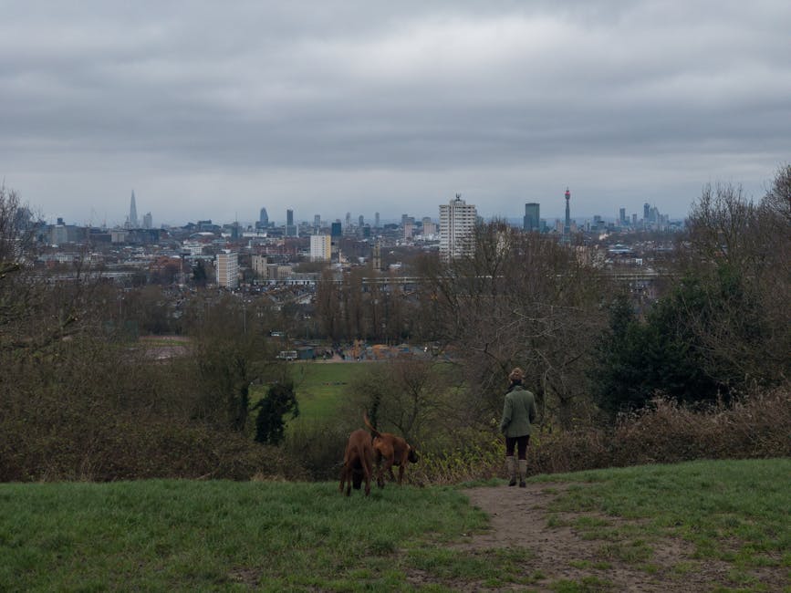 Dog-Friendly Days Out Near London: 10 Great Escapes Within 2 Hours