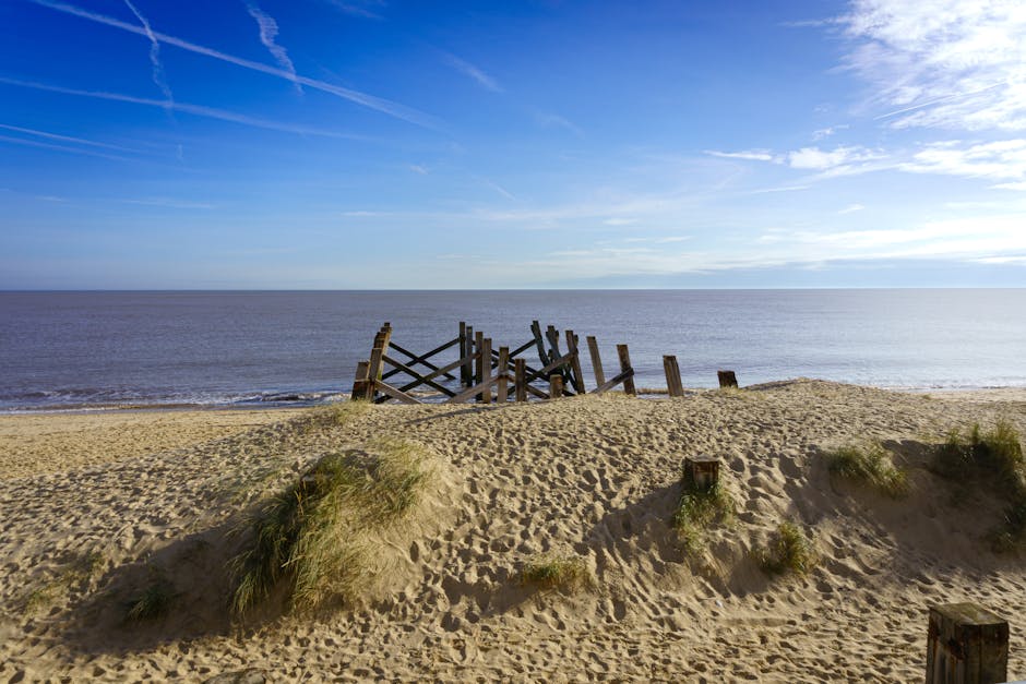 Dog-Friendly Norfolk Coast 2026: Holkham, Wells, Brancaster
