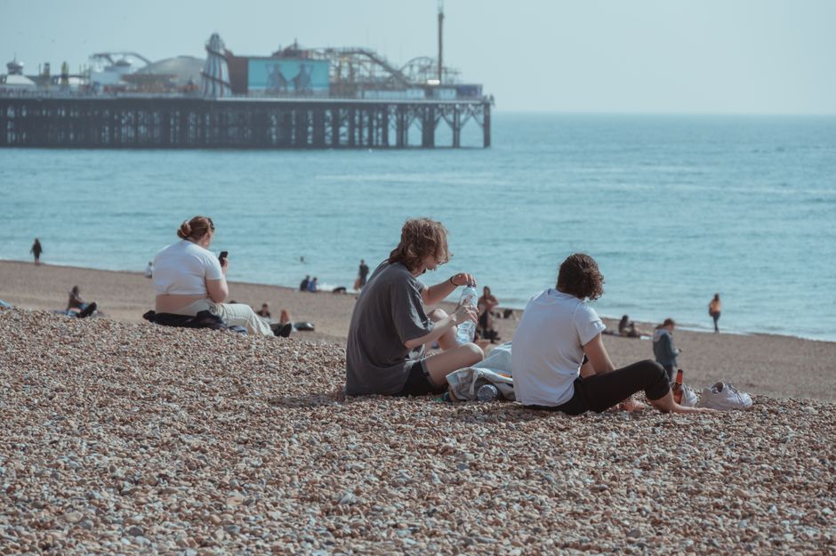 Dog-Friendly Brighton & Sussex Coast (2026) Guide