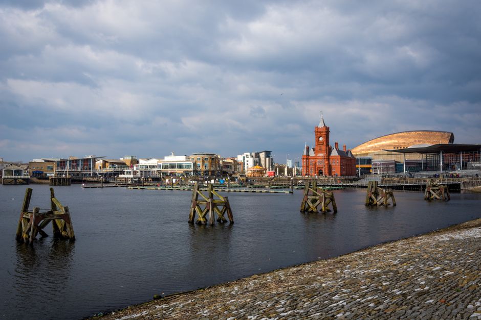 Cardiff Bay waterfront, a dog-friendly Welsh city