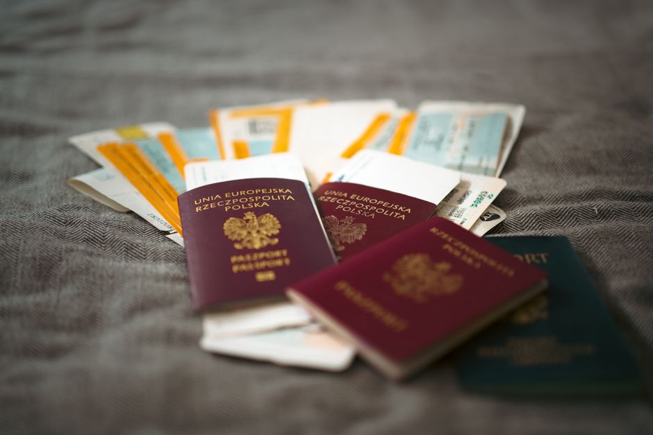 Travel documents representing UK dog passport and EU travel