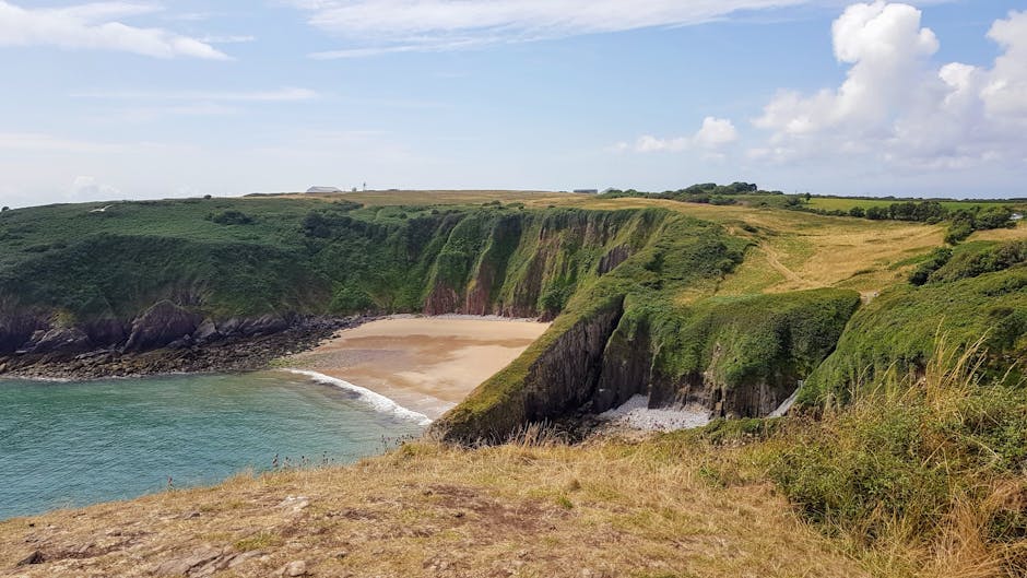 Coastal headland with green grassy slopes meeting a sandy beach and sea