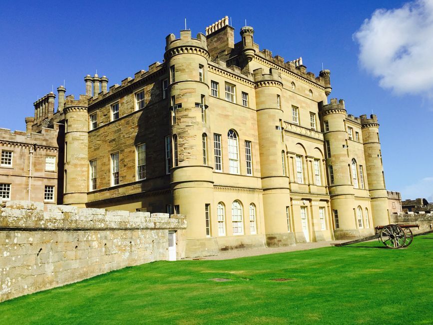 Dog-Friendly Ayrshire