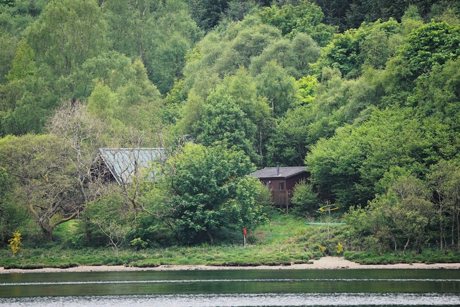 Dog at a lakeside holiday lodge in the UK countryside — typical Hoseasons pet-friendly stay