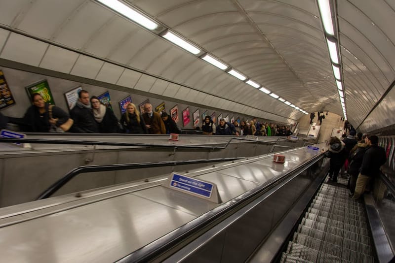Dogs on London Transport