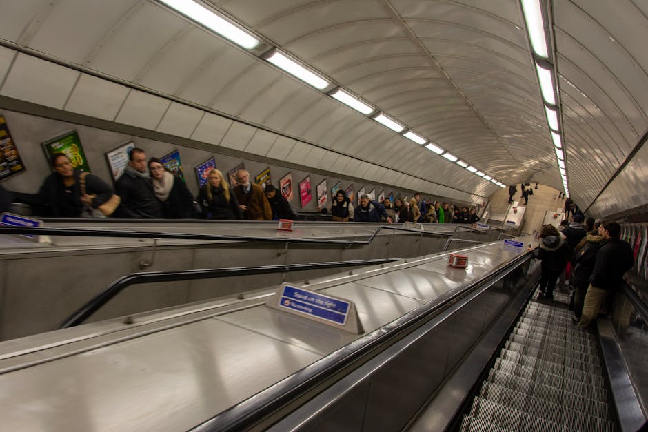 Dogs on London Transport