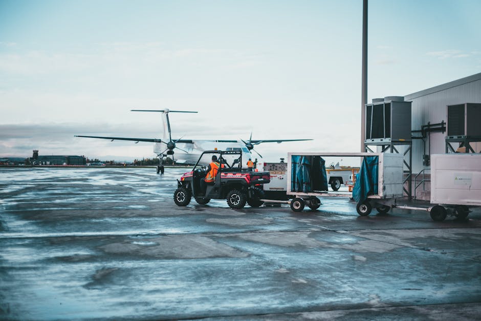 Dog being prepared for international travel — pet insurance travel cover comparison