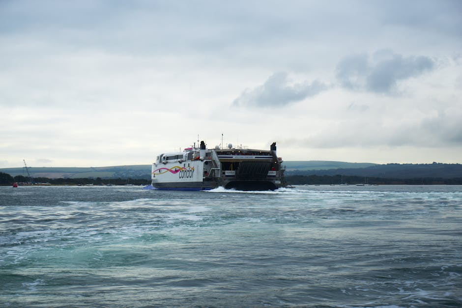 Dog on a UK ferry deck crossing the sea — typical pet-friendly ferry travel