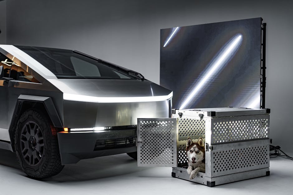 Dog resting inside a travel crate in the back of a car