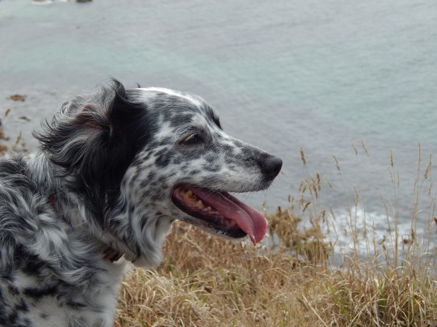 Roseland Peninsula and South Cornwall