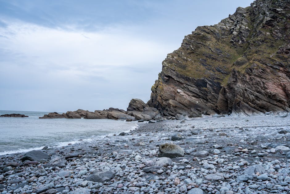 Dog walking along a Devon coastal path with cliffs and sandy beach in the background