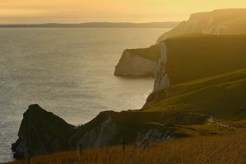 Dog walking along the Jurassic Coast cliffs in Dorset