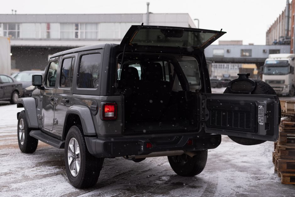 Best Dog Car Ramps for Senior and Large Breeds