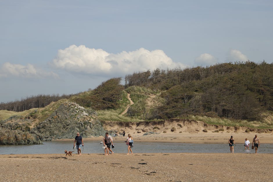 Golden retriever running along a wide UK beach at low tide on a bright summer day
