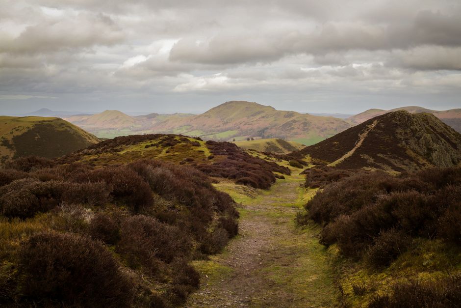 Dog-Friendly Shropshire Hills
