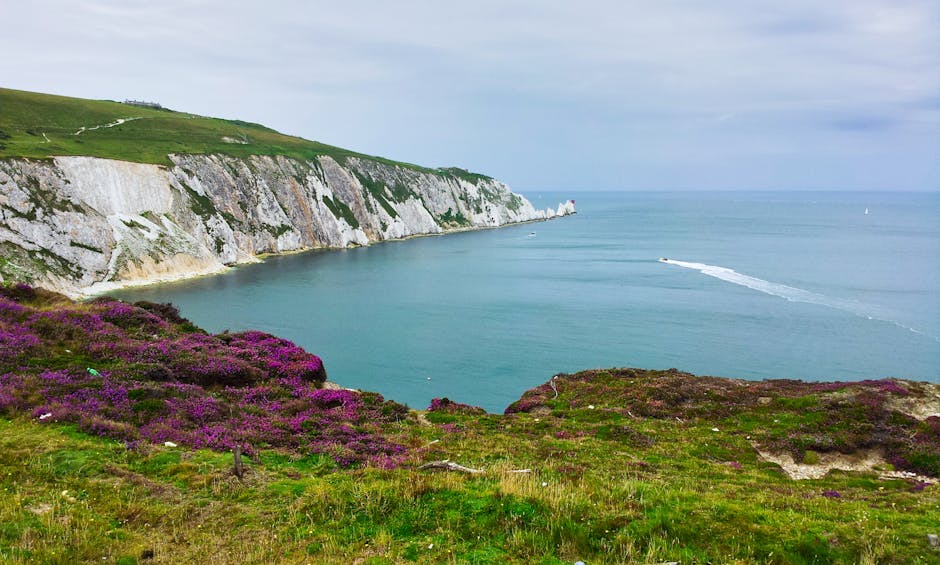 Dog-Friendly Isle of Wight