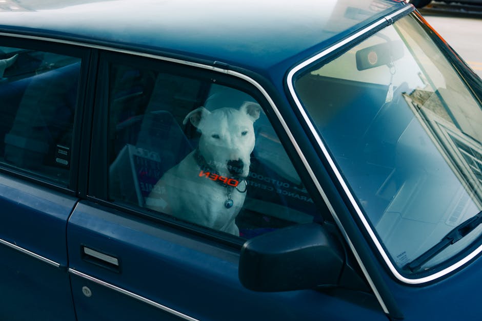 Mighty Paw Vehicle Safety Harness for Everyday Travel