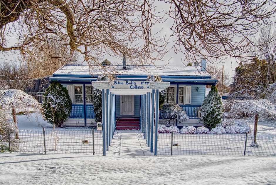 Snow-covered countryside cottage with a dog at the door, set up for a dog-friendly Christmas break in the UK