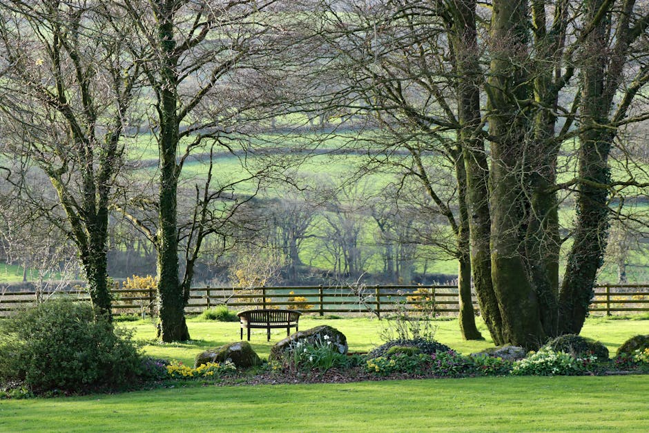 Stone cottage in the Devon countryside with garden and rolling hills behind