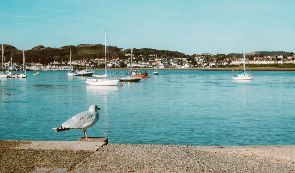 The Cardigan Bay coast in Ceredigion, west Wales, a dog-friendly destination