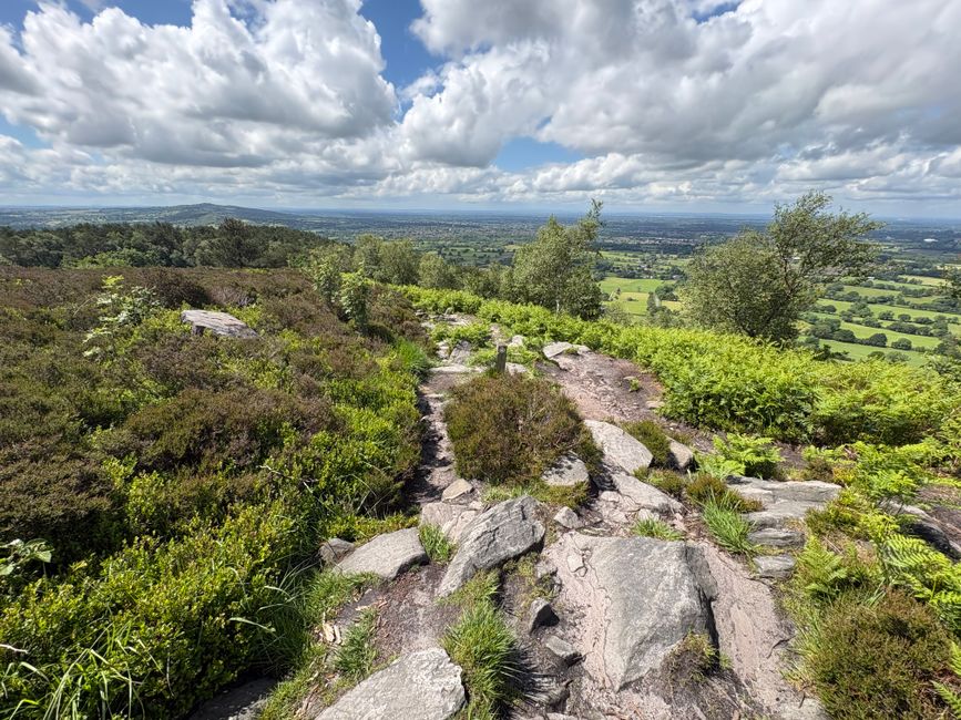 The Cheshire countryside, a dog-friendly county of forest, canals and ridge trails