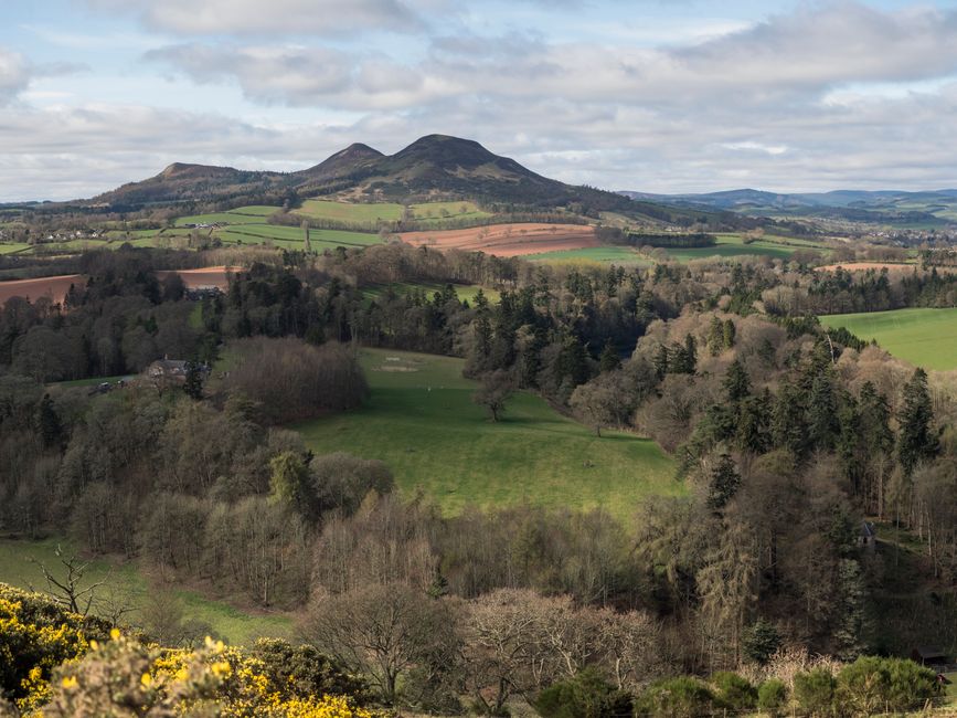 Dog-Friendly Scottish Borders