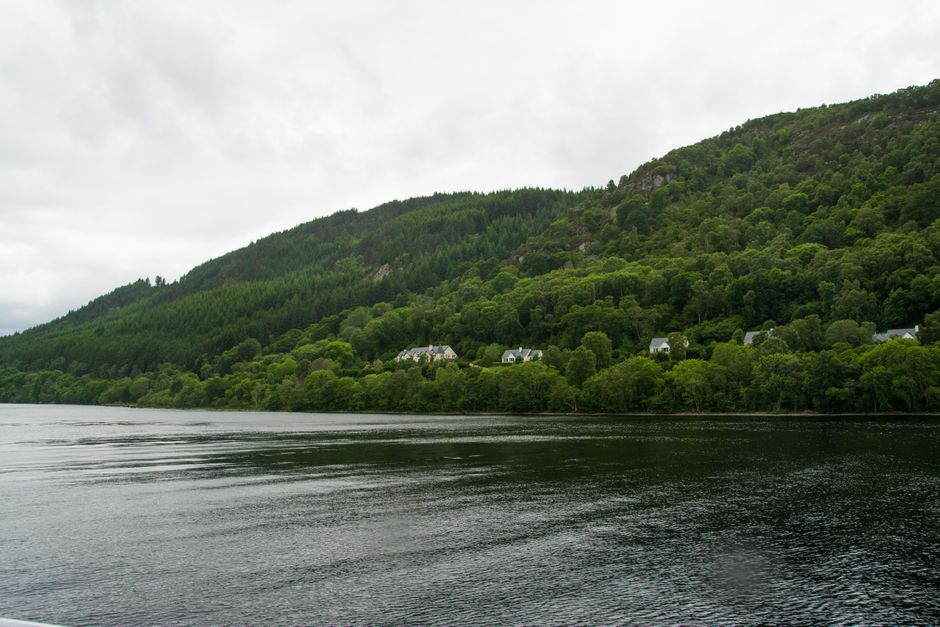 The forests and lochs of Dumfries and Galloway, a dog-friendly region of southern Scotland