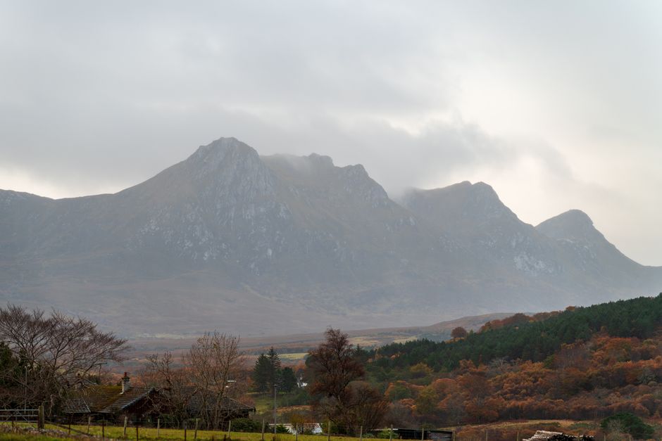 Dog-Friendly Isle of Arran