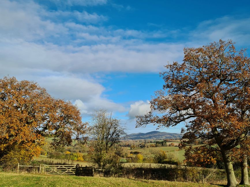 The Malvern Hills rising over the Herefordshire countryside, a dog-friendly ridge walk