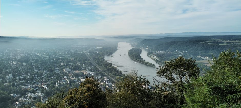 Dog-Friendly Wye Valley