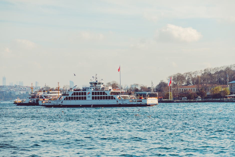 UK ferry crossing on a calm sea — passengers travelling with dogs to France and Ireland