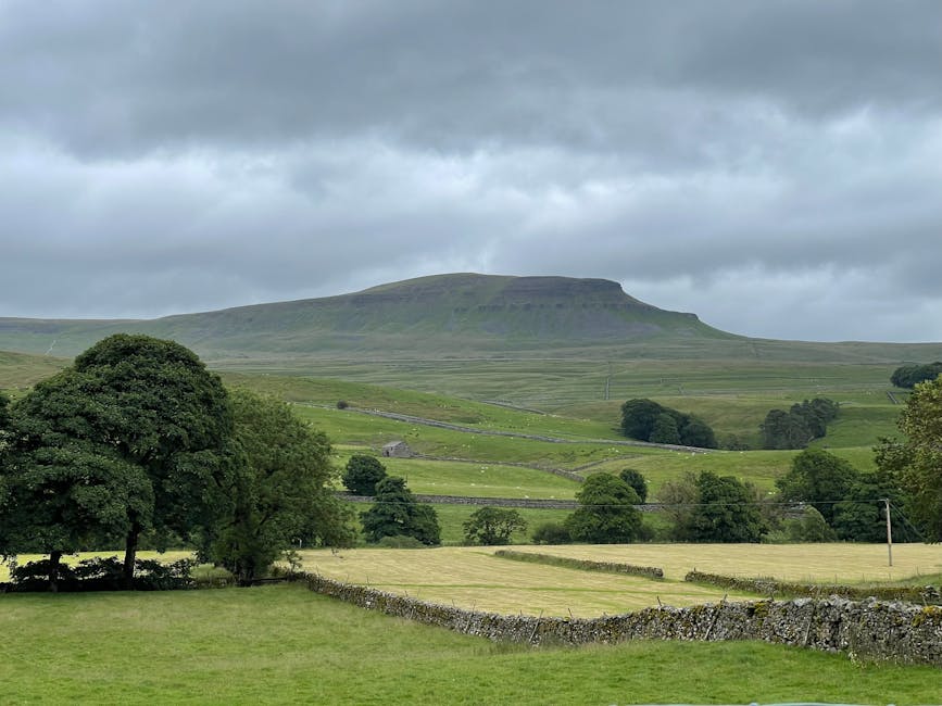 Yorkshire Dales landscape with limestone walls and rolling hills